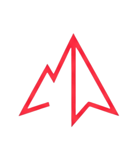 AltaySec Logo